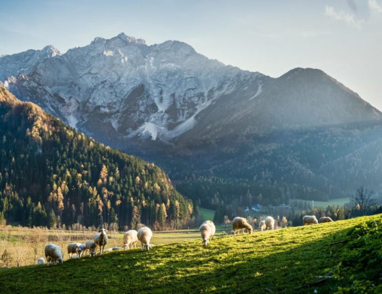 Zwei hübsche Hotels mit Wellness in versteckten Bergtälern