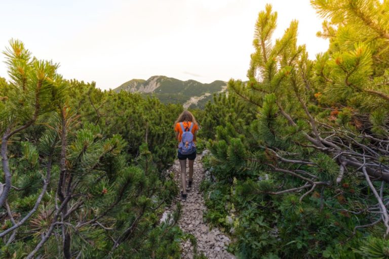 Der Visevnik – Die schönste Wanderung zwischen Bleder See und Bohinjsee