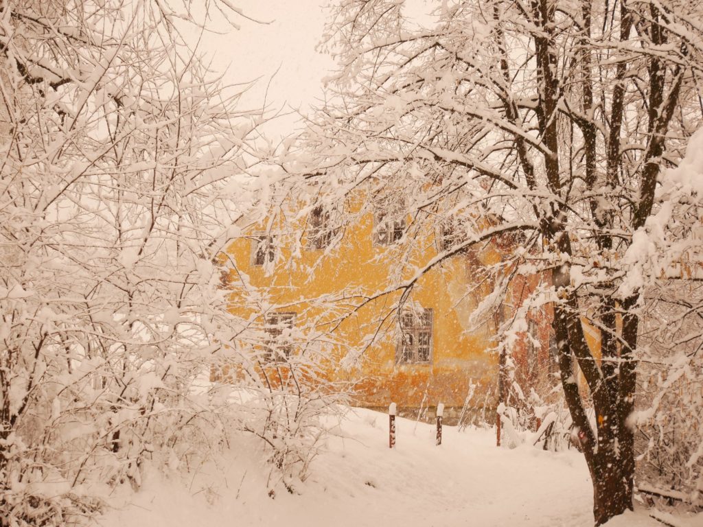 Meine schönsten Winterfotos nach 10 Jahren Slowenien