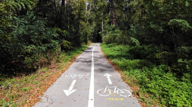 Die schönste Radtour Ljubljanas